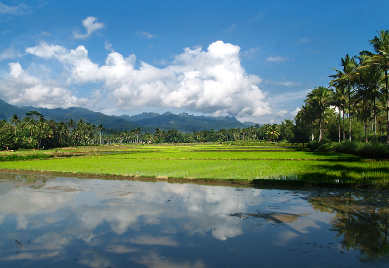 Contoh Gambar Pemandangan Alam Indonesia - Ndang Kerjo